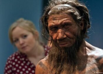 المسمار الإلكتروني | إنسان النياندرتال: بين طقوس الحب، صراع البقاء، والسر المخفي في دمائنا