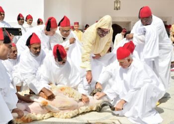 المسمار الإلكتروني | تعليق شعيرة الأضحية في المغرب: قرار استراتيجي لحماية الأمن الغذائي والقدرة الشرائية