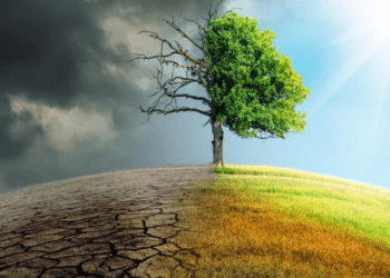 المسمار الإلكتروني | تراجع الأمطار في لبنان ينذر بكارثة.. هل يفقد البلد أمنه الغذائي والمائي؟