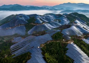 الصين تغزو القمم بالطاقة الشمسية: من أراضٍ قاحلة إلى نموذج عالمي للتنمية المستدامة 4 المسمار الإلكتروني | الصين تغزو القمم بالطاقة الشمسية: من أراضٍ قاحلة إلى نموذج عالمي للتنمية المستدامة