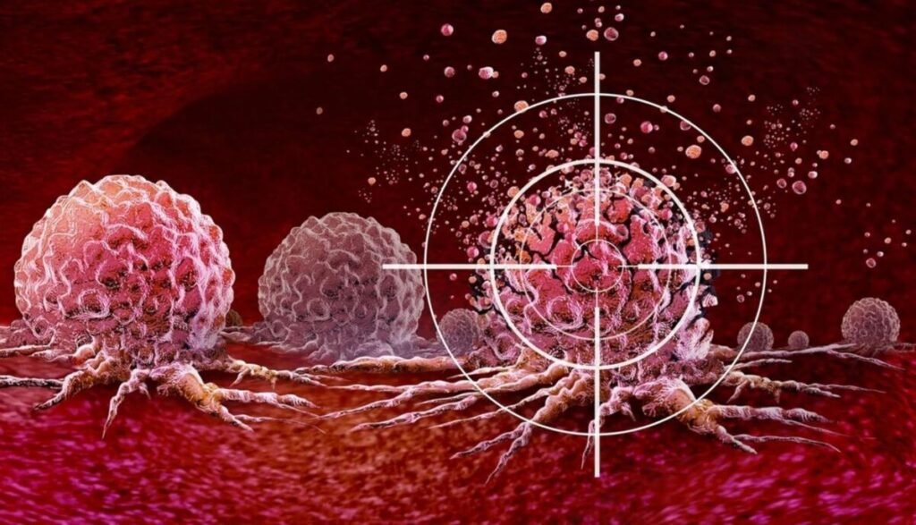ابتكار منصة ذكاء اصطناعي لتصميم بروتينات موجهة تستهدف الخلايا السرطانية المسمار الإلكتروني | ابتكار منصة ذكاء اصطناعي لتصميم بروتينات موجهة تستهدف الخلايا السرطانية