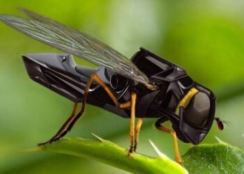 المسمار الإلكتروني | تلقيح ميكانيكي للنباتات… هل يعلن الروبوت نهاية دور النحل على الأرض؟