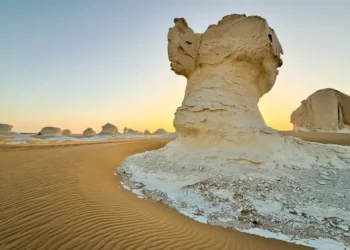 المسح الجيوفيزيائي الشامل في مصر.. خطوة استراتيجية لكشف ثروات الأرض وجذب الاستثمارات..