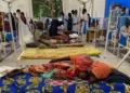 بين الحرب والوباء.. الدمازين السودانية تواجه أخطر موجات حمى الضنك