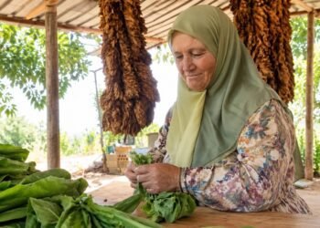 بين الصواريخ وشتلات التبغ… الستينية الجنوبية سميرة قانصو تحرس رزق عائلتها