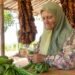 بين الصواريخ وشتلات التبغ… الستينية الجنوبية سميرة قانصو تحرس رزق عائلتها 5 بين الصواريخ وشتلات التبغ… الستينية الجنوبية سميرة قانصو تحرس رزق عائلتها
