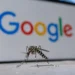 إطلاق البعوض لمكافحة الأمراض: تقنية «وولباكيا» بين الابتكار الحيوي والتحديات البيئية 5 إطلاق البعوض لمكافحة الأمراض: تقنية «وولباكيا» بين الابتكار الحيوي والتحديات البيئية