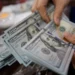 ما بعد الدولار.. روسيا تراهن على بنية مالية مستقلة لإعادة تشكيل المدفوعات الدولية!