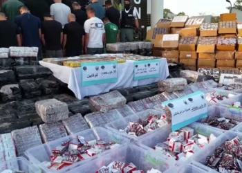 الجزائر تفكك شبكة دولية للمخدرات وتصادر أكثر من 10 ملايين كبسولة بريغابالين