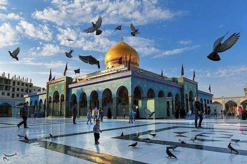 من مقام السيدة زينب إلى الجامع الأموي… هل تفتح زيارة الزيدي باباً جديداً للتعايش في سوريا؟ 2 a62558bb5e230ff779ad38465b12fdb81